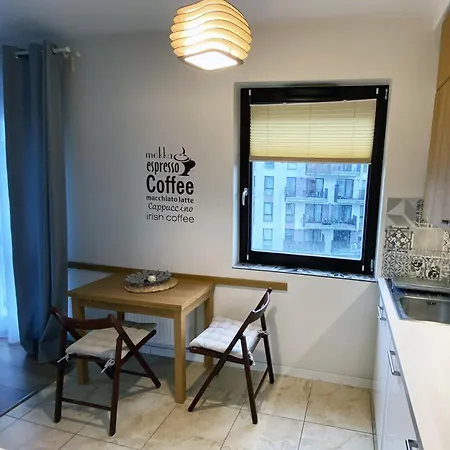 Apartment Comfortable Penthouse Burakowska